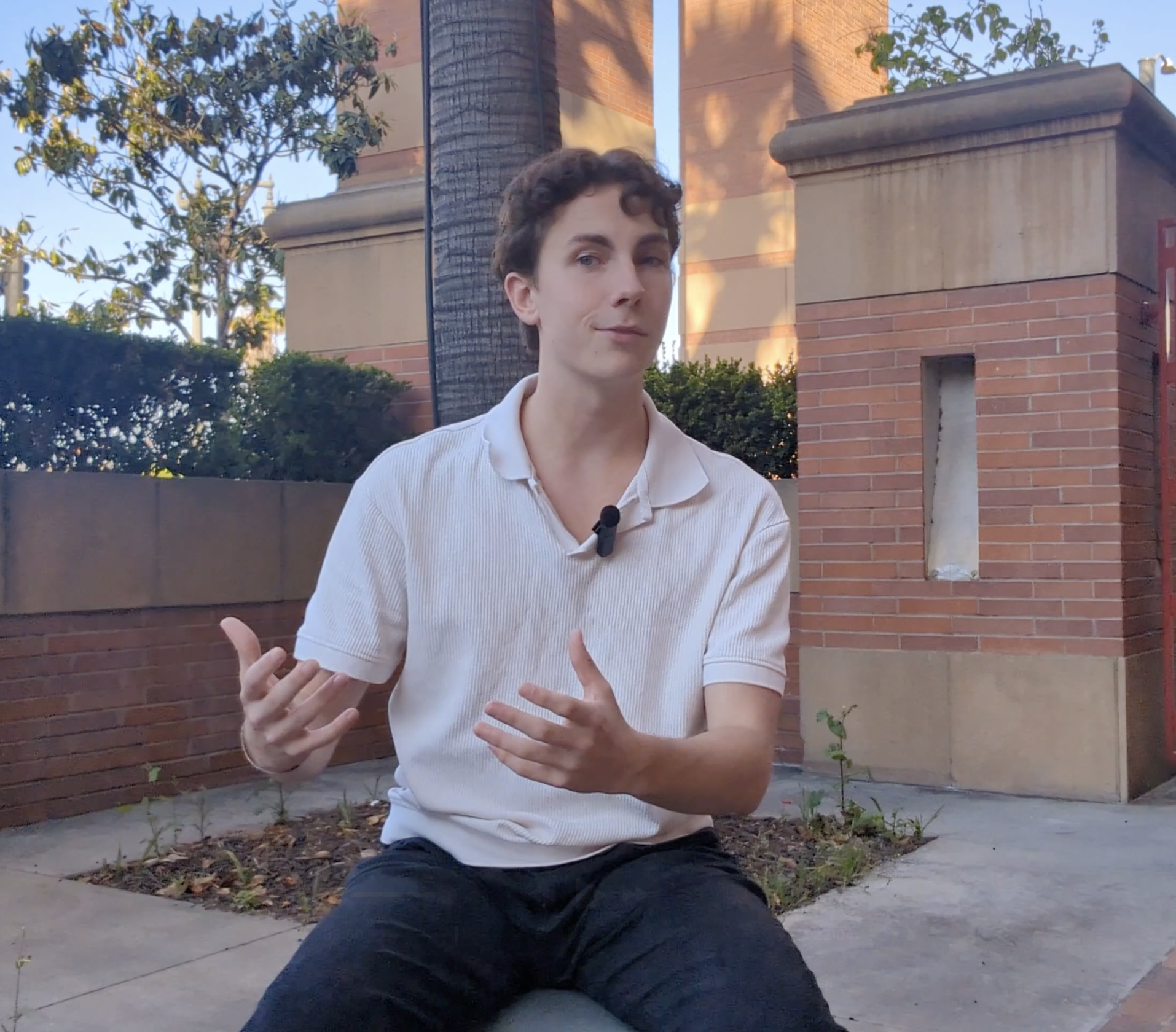 Michael - Web Developer